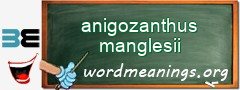 WordMeaning blackboard for anigozanthus manglesii